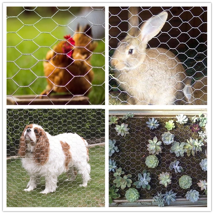 hexagonal chicken wire usage