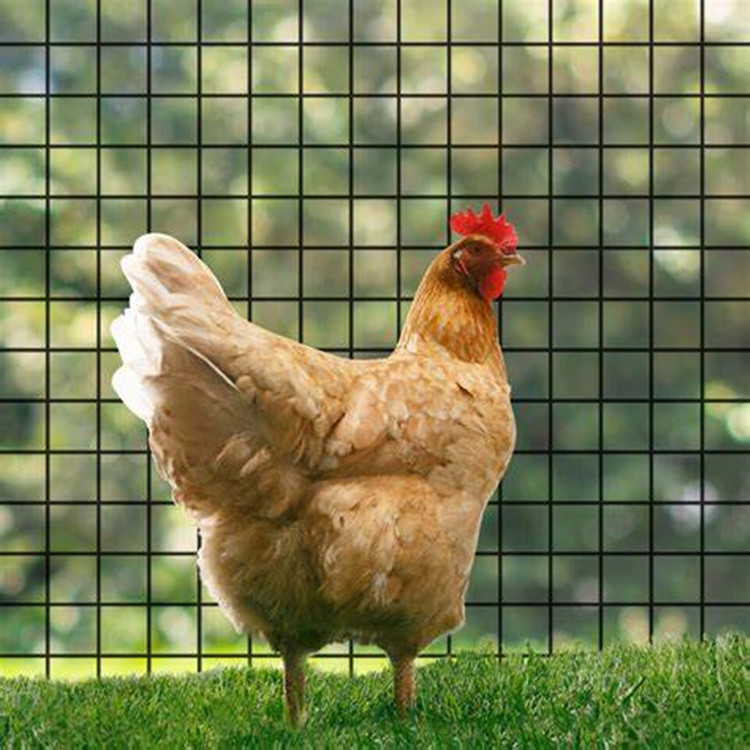 diamond chain link wire mesh for-a-chicken-wire-fence