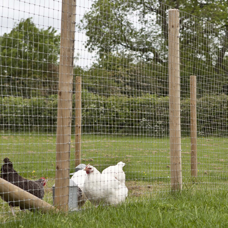 chicken wire farm fencing