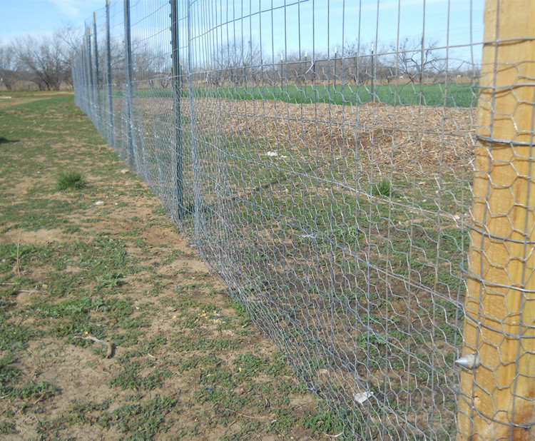 chicken wire farm fencing